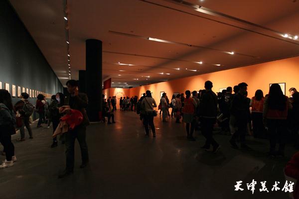 IMG_9537.jpg IMG_9537.jpg