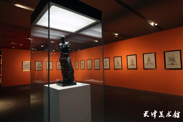 IMG_9782.jpg IMG_9782.jpg