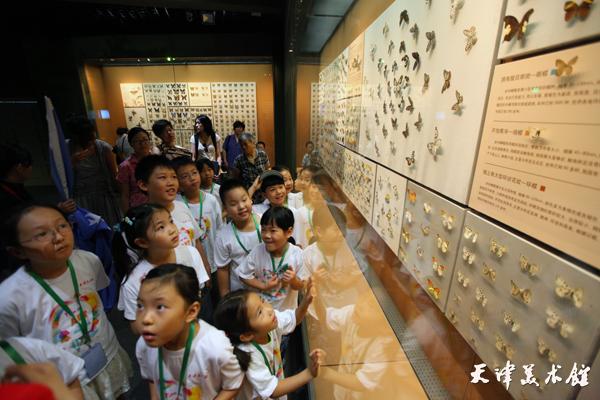 IMG_7187.jpg IMG_7187.jpg