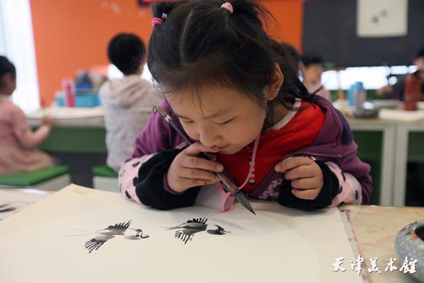 IMG_7495.JPG IMG_7495.JPG