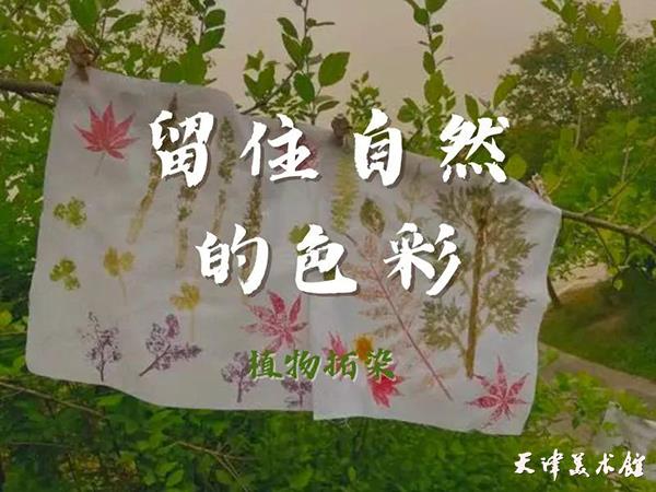 微信图片_20230728161501.jpg 微信图片_20230728161501.jpg