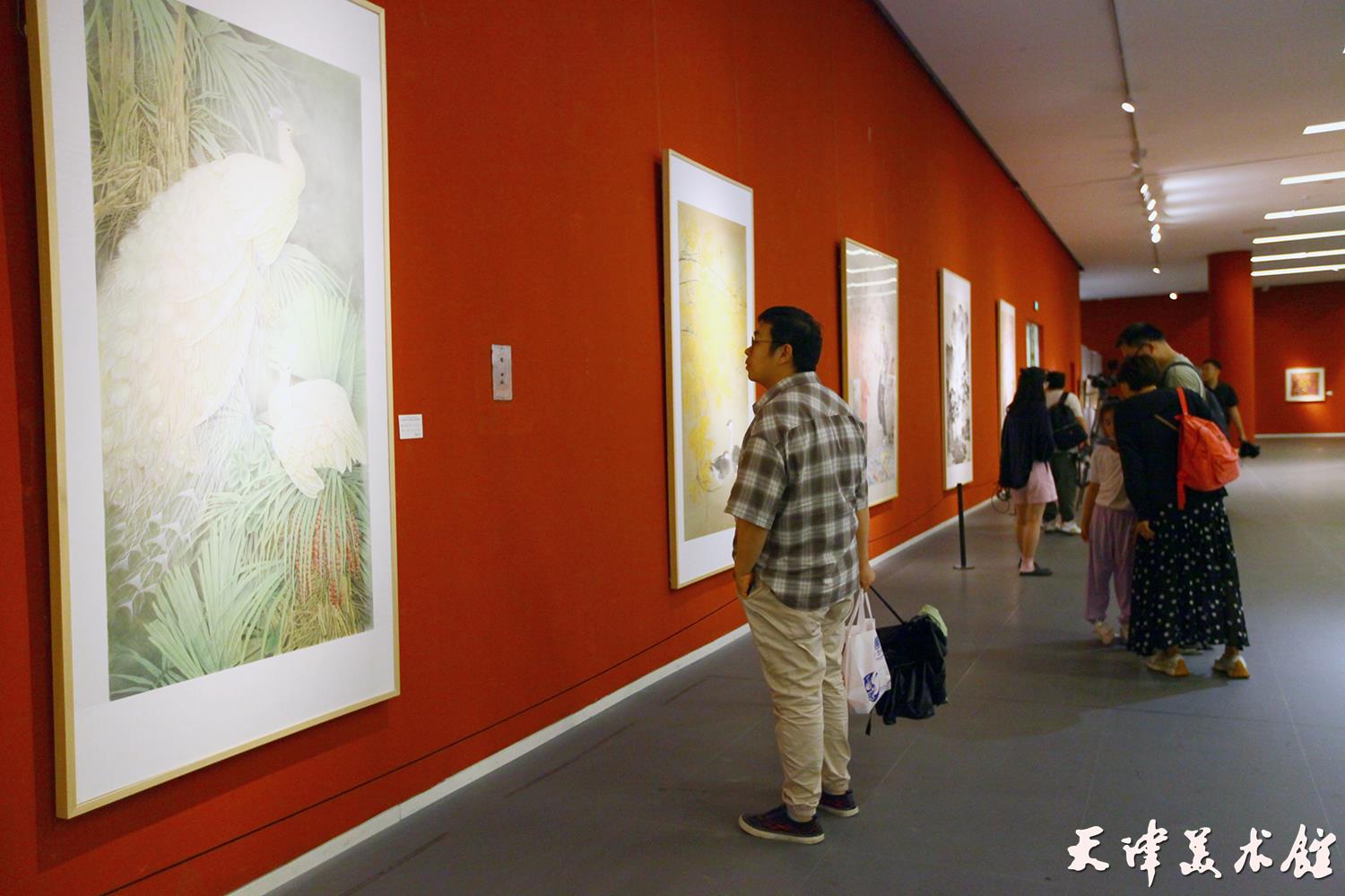 IMG_0981.JPG IMG_0981.JPG