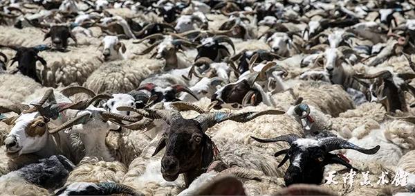 微信图片_20231030231107.jpg 微信图片_20231030231107.jpg