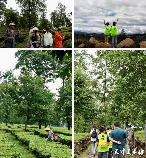 微信截图_20250729111426.png 微信截图_20250729111426.png