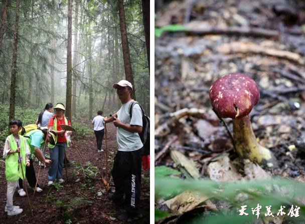 微信截图_20250729111658.png 微信截图_20250729111658.png