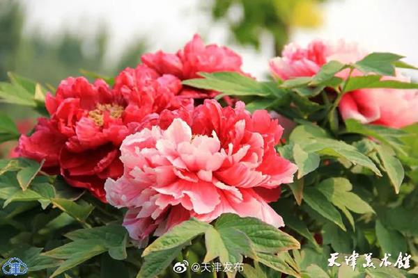 微信图片_20230428134005.jpg 微信图片_20230428134005.jpg