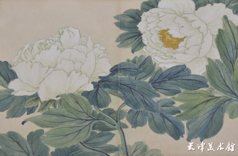 图四 《牡丹册》局部,20世纪40年代,天津博物馆藏.jpg 图四 《牡丹册》局部,20世纪40年代,天津博物馆藏.jpg