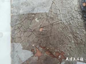 图片3.jpg 图片3.jpg