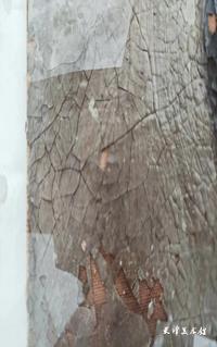 图片11.jpg 图片11.jpg