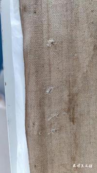 图片22.jpg 图片22.jpg